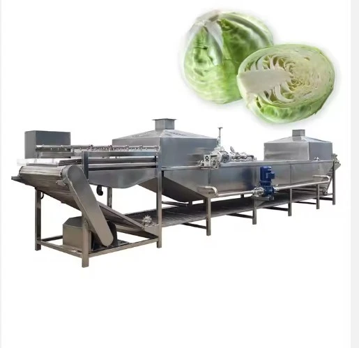 Belt Blanching Machine